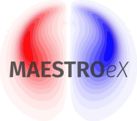 maestroex_200px.png