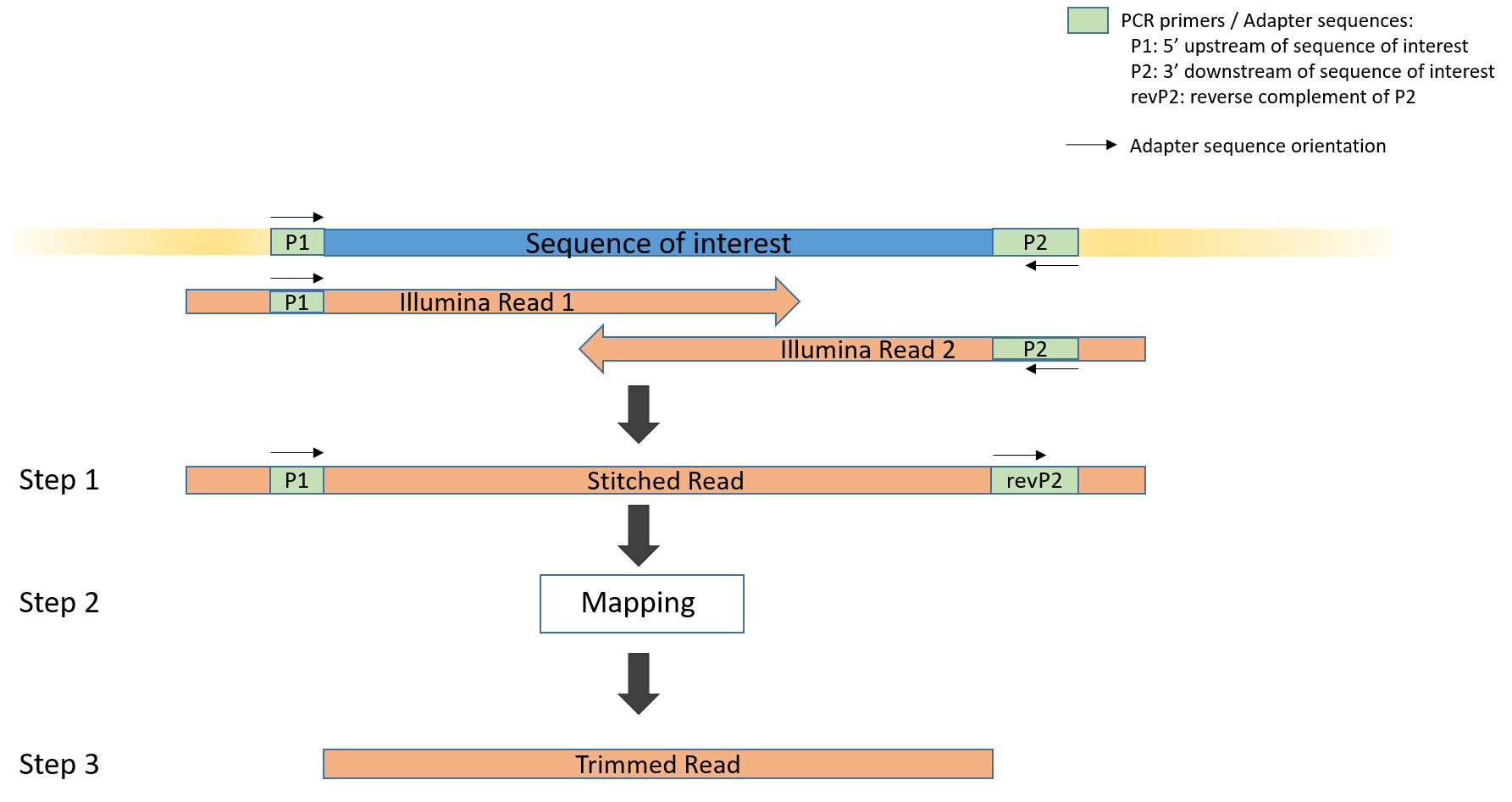 DMS-overview.png