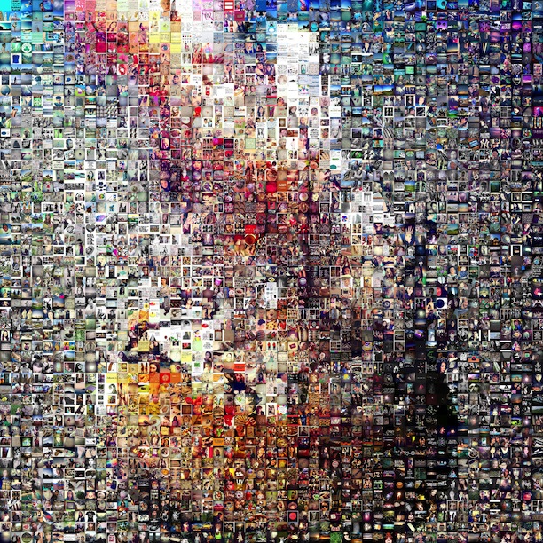 jellyfish_mosaic_unique.jpg